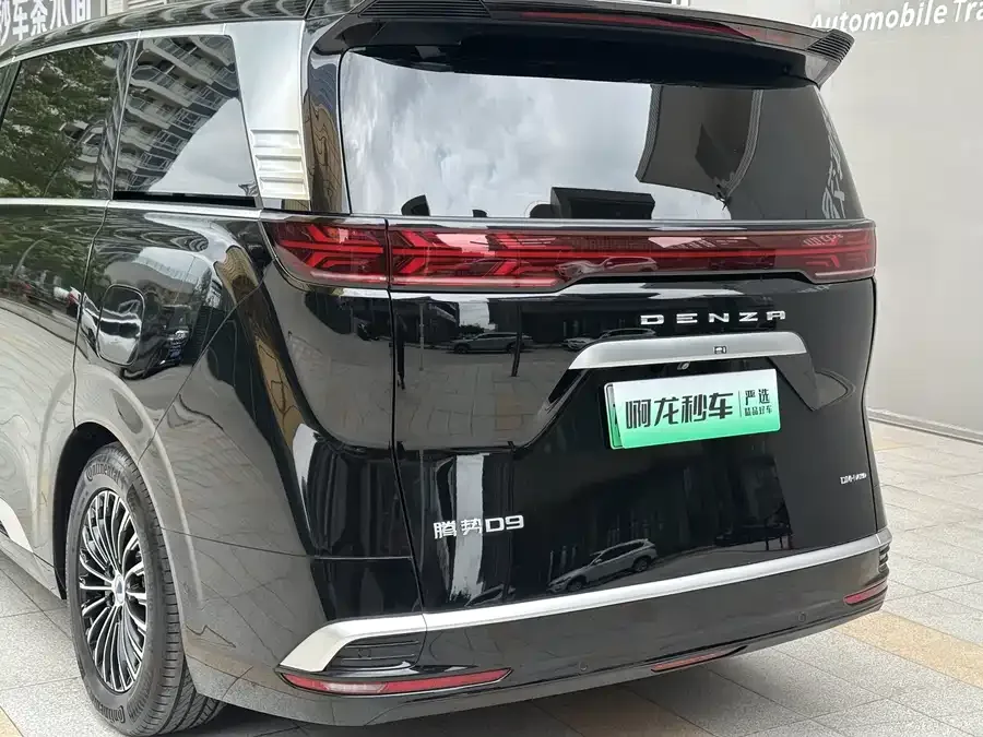 BYD D9 DENZA D9 2024 DM-i 980 4WD Flagship Model 2024 — миниатюра 5