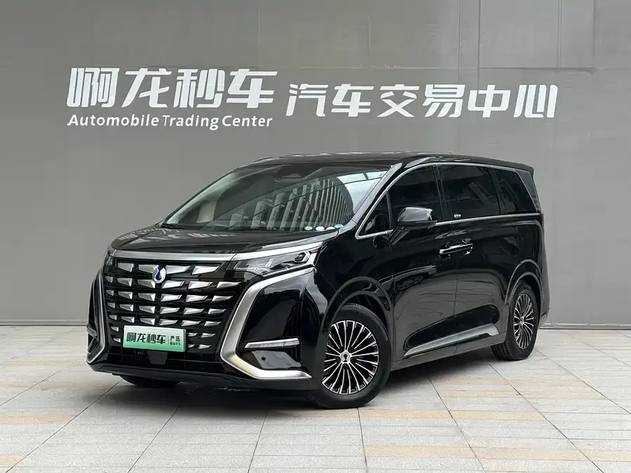 BYD D9 2024