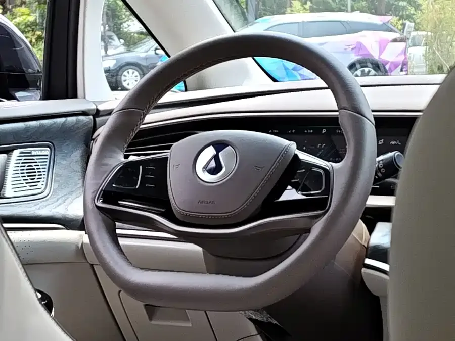 BYD D9 DENZA D9 2022 DM-i 945 Luxury Edition 2024 — миниатюра 4