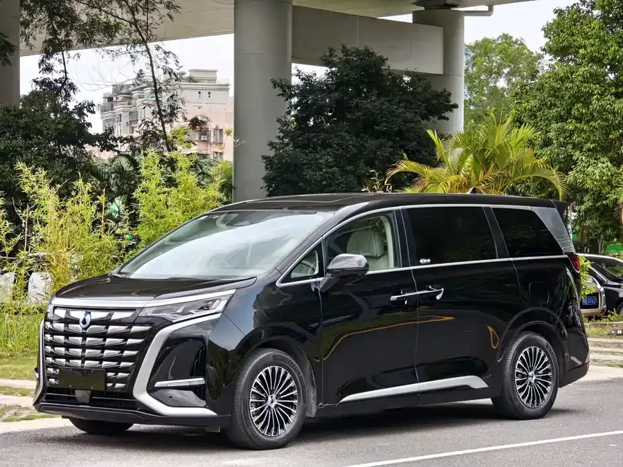 BYD D9 2024