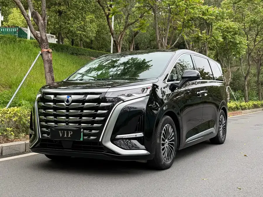 BYD D9 2024