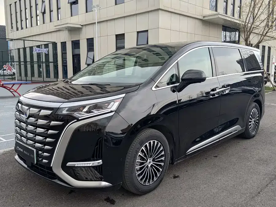 BYD D9 2024