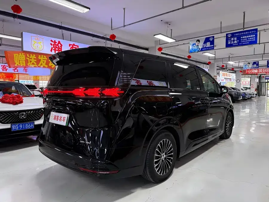 BYD D9 DENZA D9 2024 DM-i 980 4WD Flagship Model 2024 — миниатюра 4