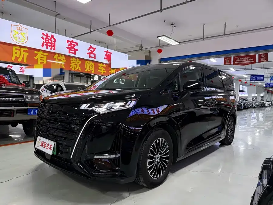 BYD D9 2024