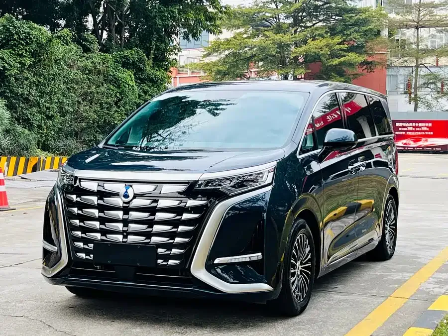 BYD D9 2023
