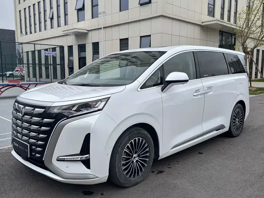 BYD D9 2022