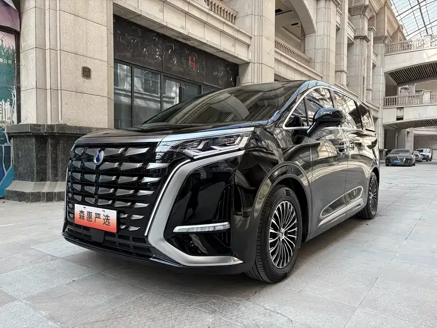 BYD D9 2023