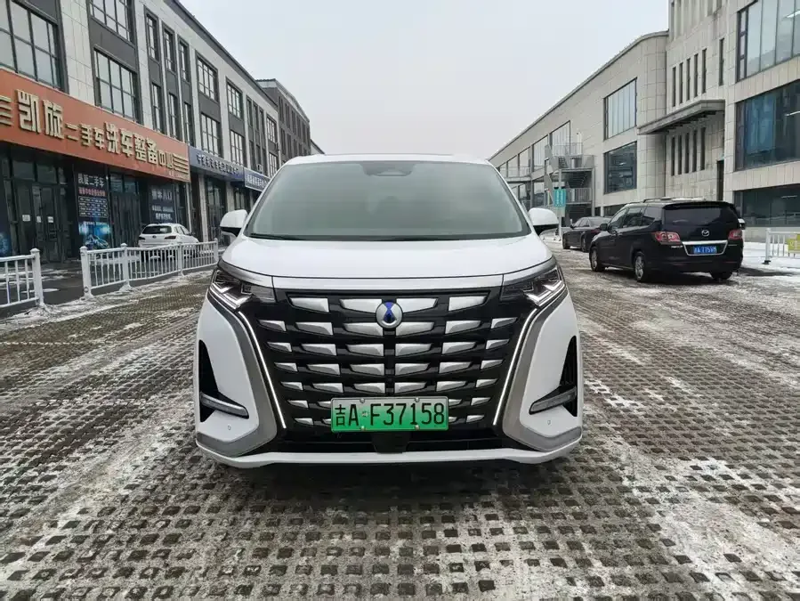 BYD D9 2023