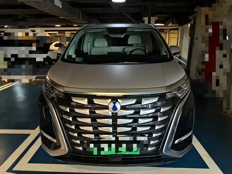 BYD D9 2024