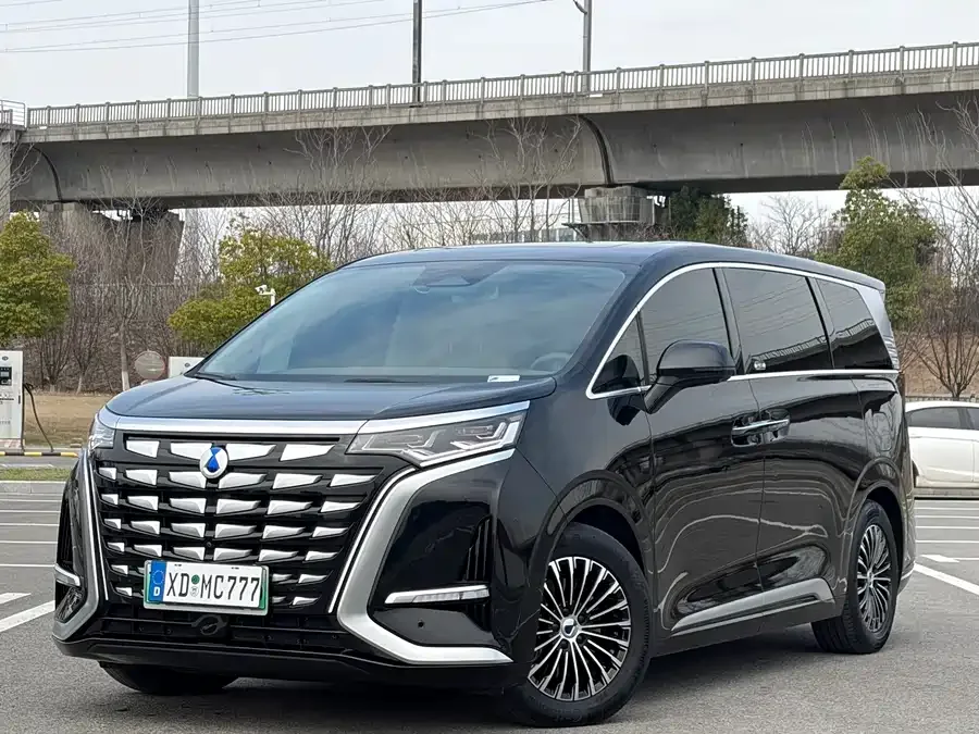 BYD D9 2024