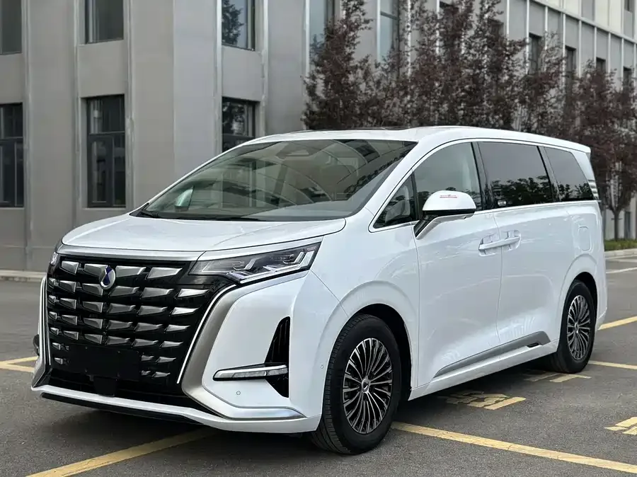 BYD D9 2024