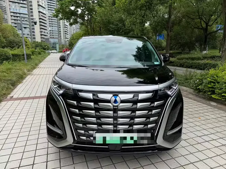 BYD D9 2024