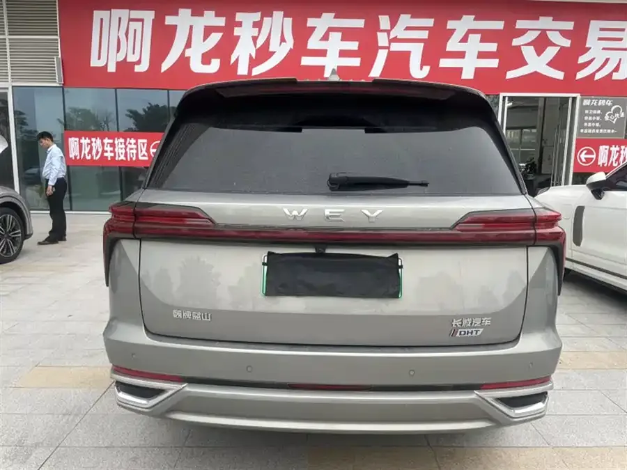 WEY Blue Mountains Wei Brand Blue Mountain 2023 two-wheel drive long-range version 2023 — миниатюра 5