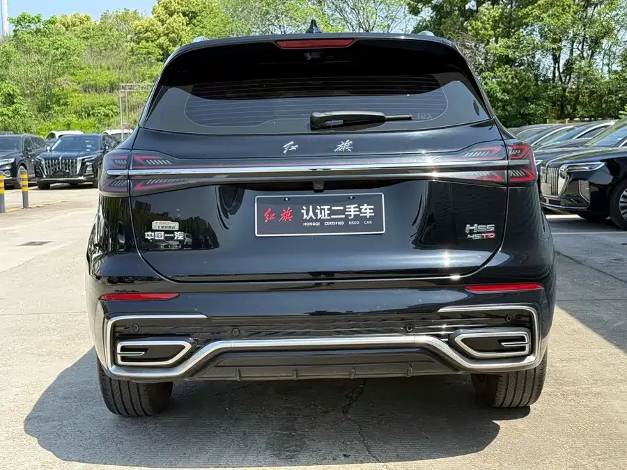 Hongqi HS5 Hongqi HS5 2023 2.0T Qiyue Pro Edition 2024 — миниатюра 2