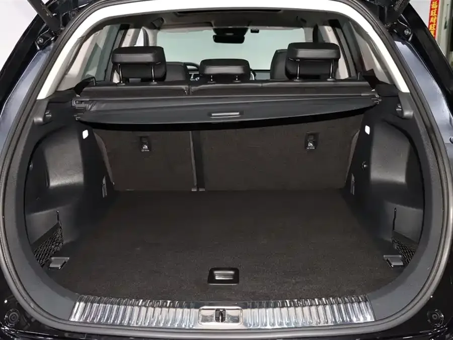 Hongqi HS5 Hongqi HS5 2022 facelift 2.0T Zhilian Qixiang Edition 2023 — миниатюра 5