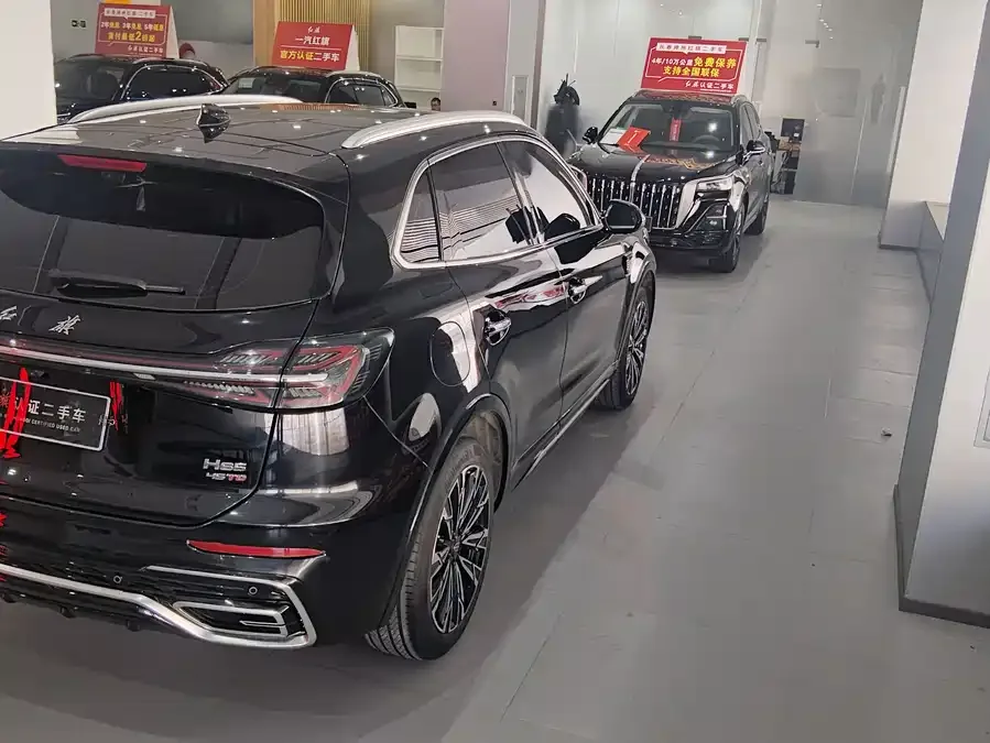 Hongqi HS5 Hongqi HS5 2023 2.0T 4WD Flagship Enjoy Pro Edition 2023 — миниатюра 3
