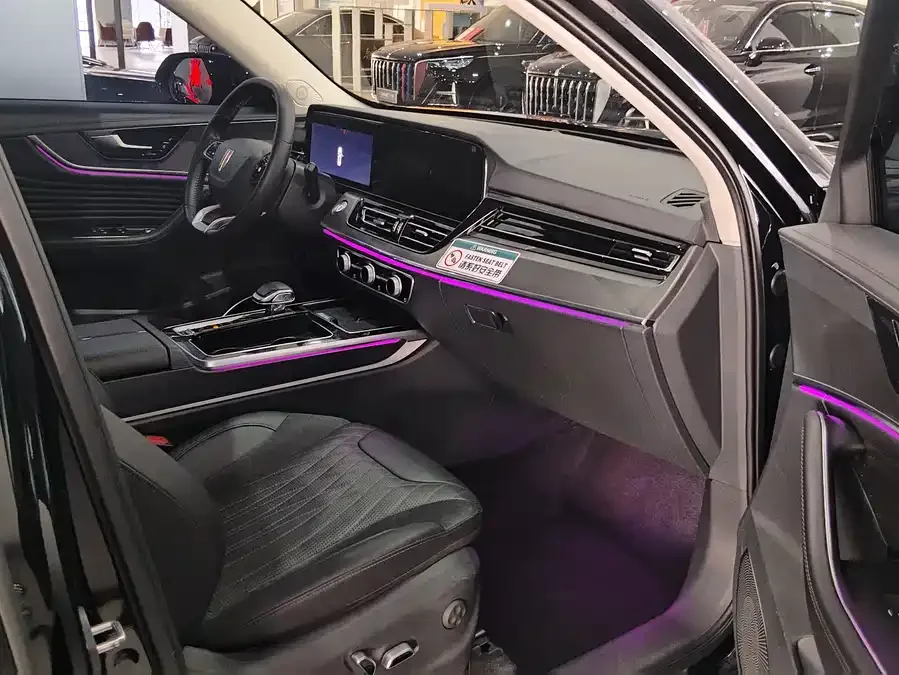 Hongqi HS5 Hongqi HS5 2023 2.0T 4WD Flagship Enjoy Pro Edition 2023 — миниатюра 5