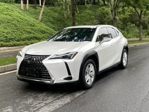 Lexus UX 2024 buy in Moscow