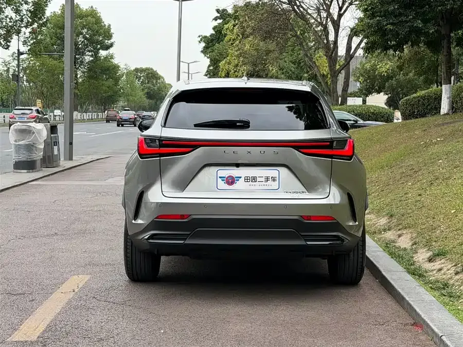 Lexus NX 2024 350h AWD Creative Touring Edition 2025 — миниатюра 2