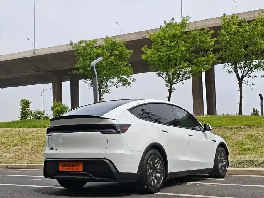 Tesla Model YL Model YL 2025 long-range all-wheel drive version 2025 — миниатюра 3