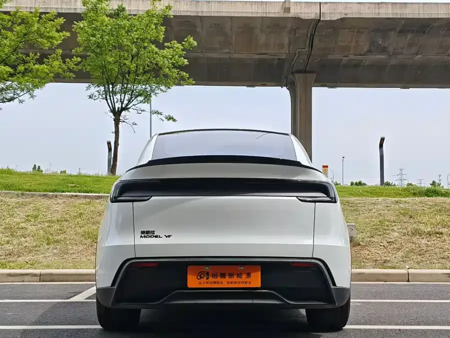 Tesla Model YL Model YL 2025 long-range all-wheel drive version 2025 — миниатюра 5