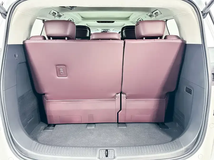Buick Century Century 2023 2.0T 7-seat Yunshi Edition 2024 — миниатюра 5