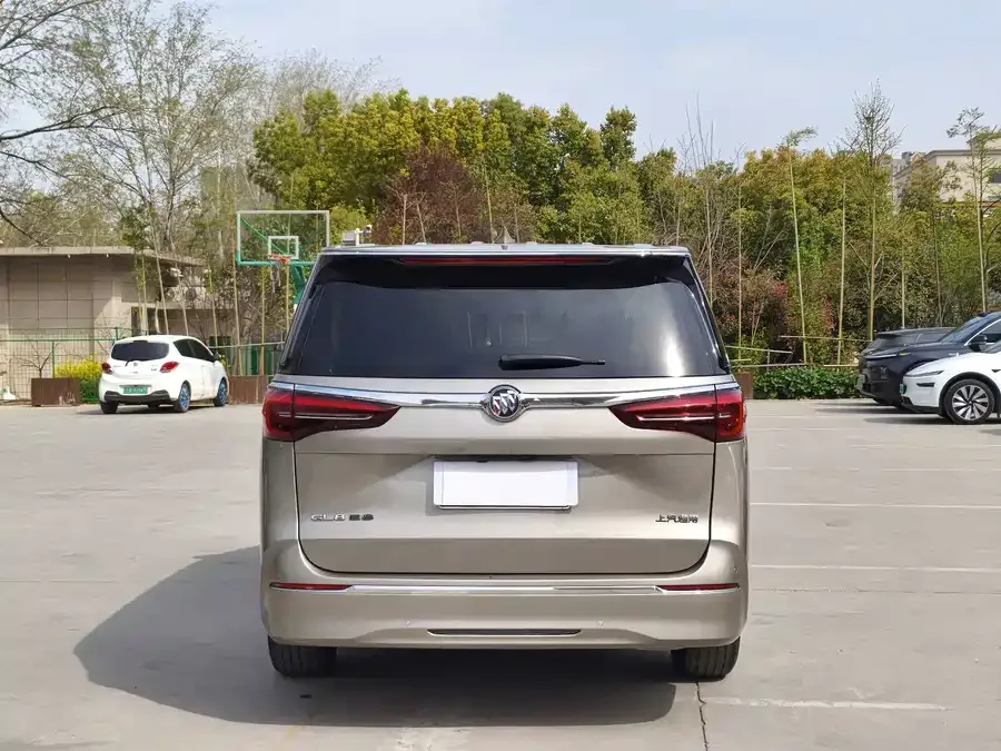 Buick GL8 2023 ES Lu Zun Premium Edition 2023 — миниатюра 5