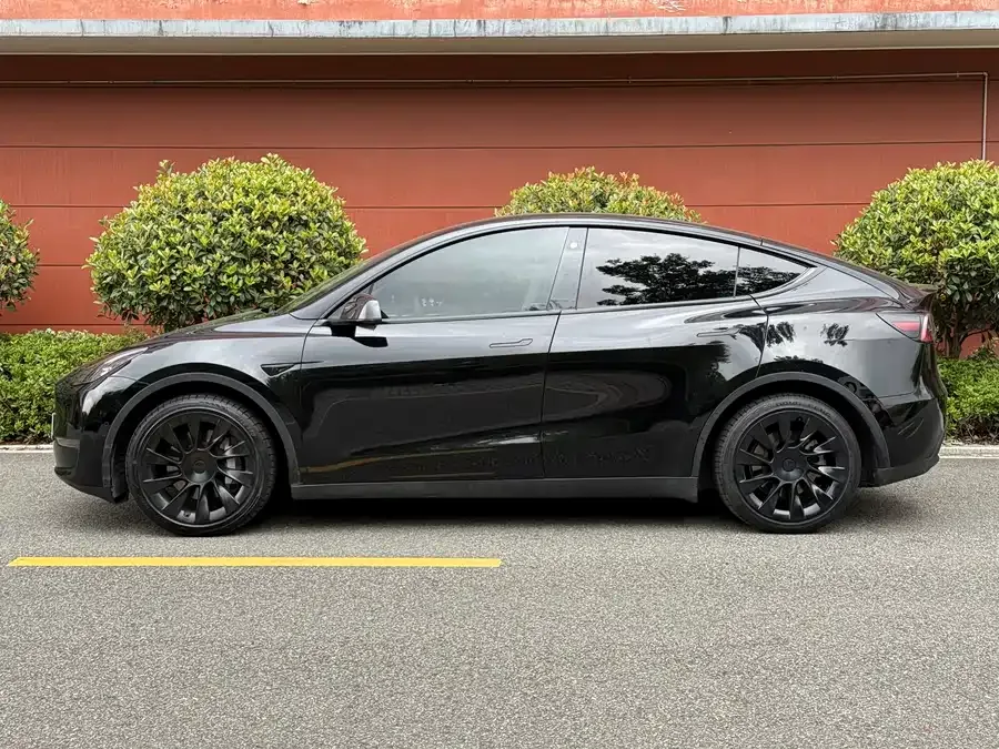 Tesla Model Y Model Y 2022 rear-wheel drive version 2022 — миниатюра 3