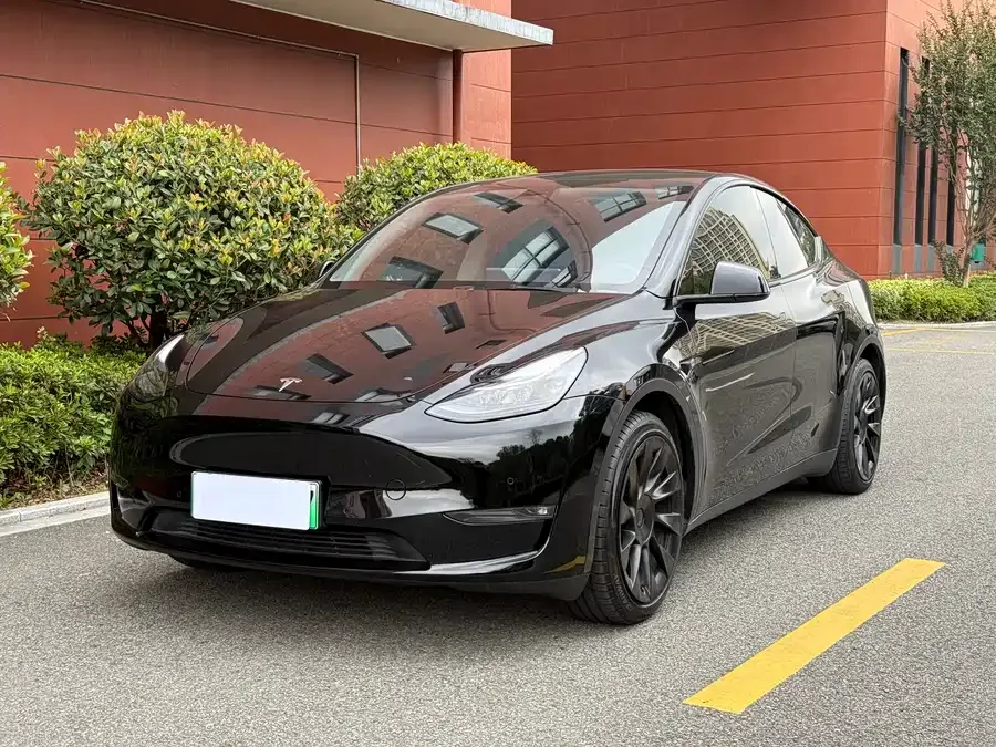 Tesla Model Y Model Y 2022 rear-wheel drive version 2022 — фото 1, купить с доставкой в Москву