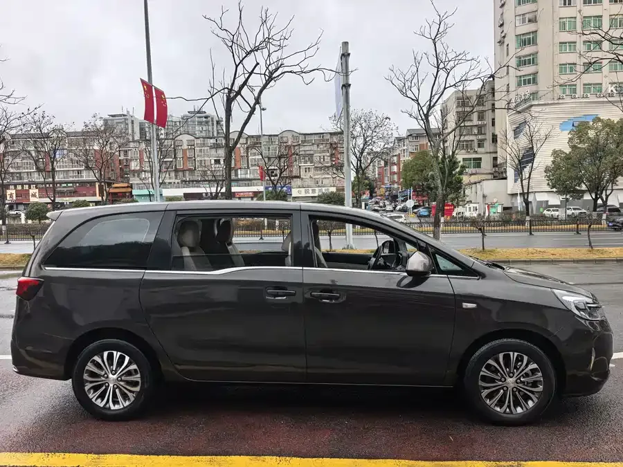 Buick GL8 2022 Land Business Class 652T Comfort Edition 2022 — миниатюра 2