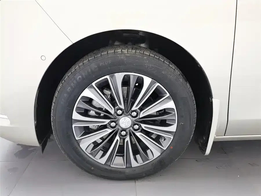 Buick GL8 2021 ES Lu Zun 653T Luxury Edition 2022 — миниатюра 5