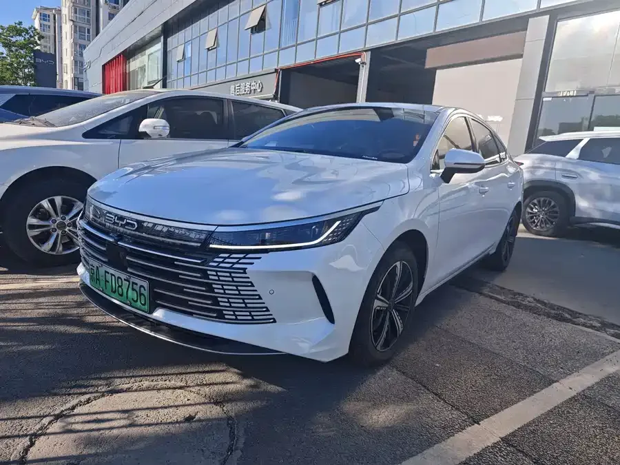 BYD Destroyer 05 2024