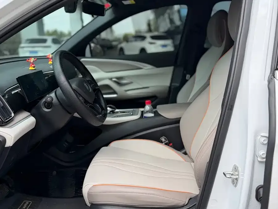 BYD Song Pro New Energy Song Pro New Energy 2024 Honor Edition DM-i 71KM Pilot Edition 2024 — миниатюра 3