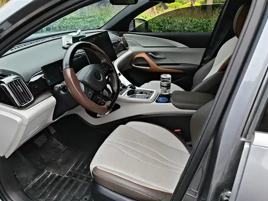 BYD Song Pro New Energy Song Pro New Energy 2023 Champion Edition DM-i 110KM Excellence 2023 — миниатюра 3