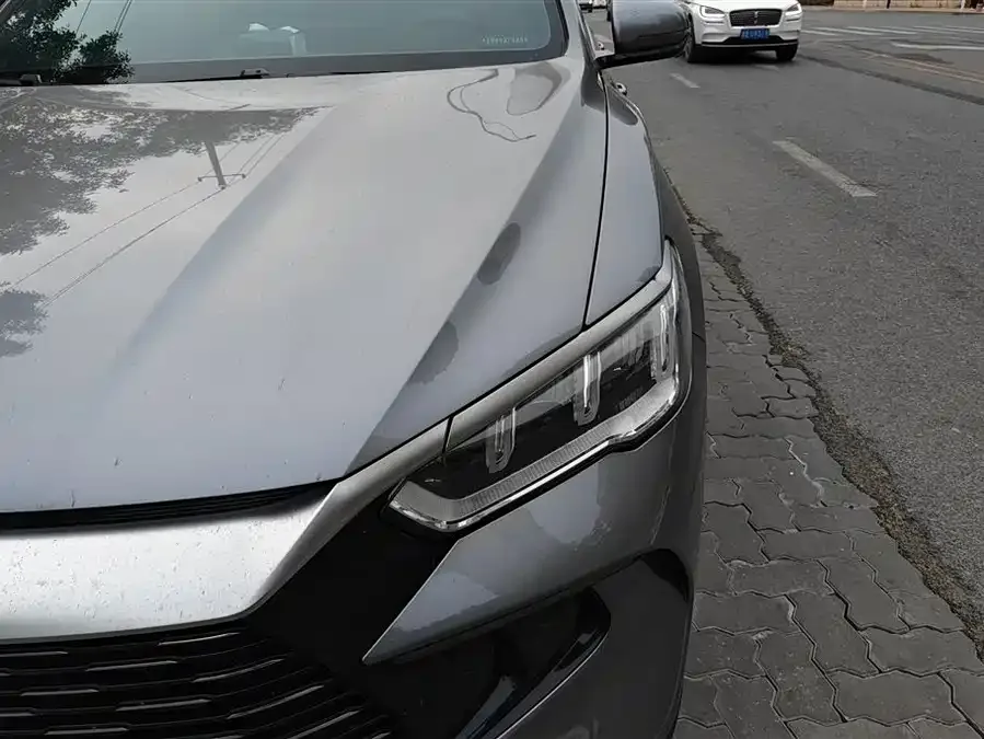 BYD Song Pro New Energy Song Pro New Energy 2023 Champion Edition DM-i 110KM Excellence 2023 — миниатюра 5