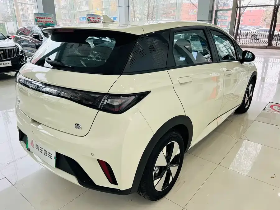 BYD Dolphin Dolphin 2023 420km Fashion Edition 2024 — миниатюра 2