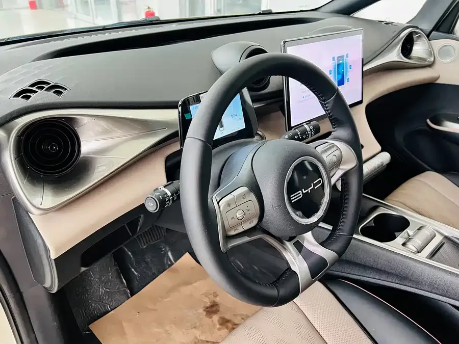 BYD Dolphin Dolphin 2023 420km Fashion Edition 2024 — миниатюра 3