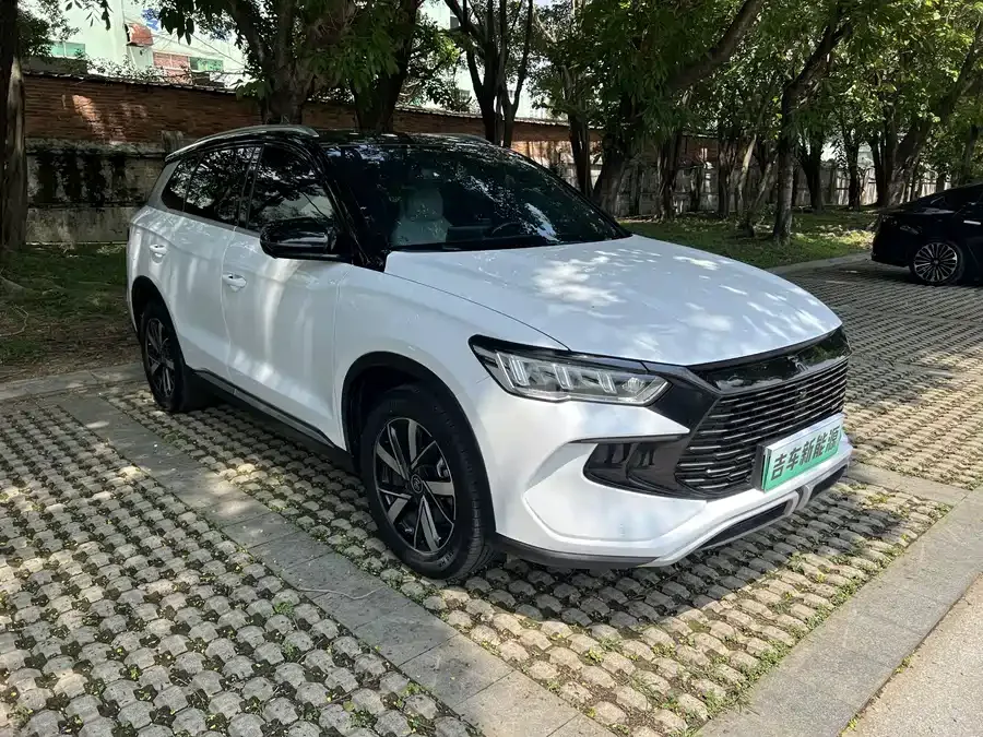 BYD Song Pro New Energy Song Pro New Energy 2024 Honor Edition DM-i 71KM Leading Edition 2024 — миниатюра 3