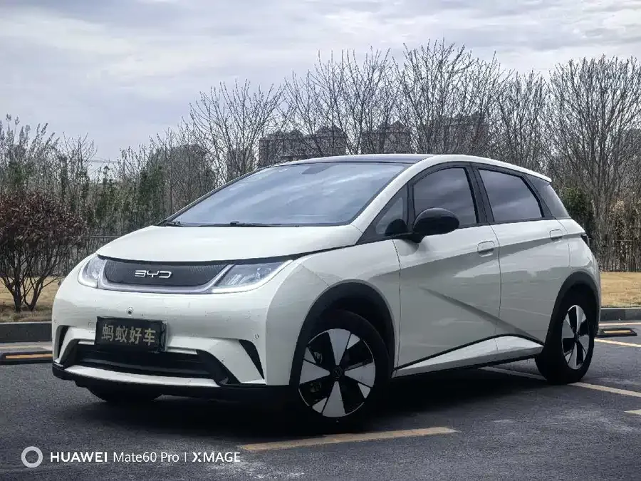 BYD Dolphin 2024