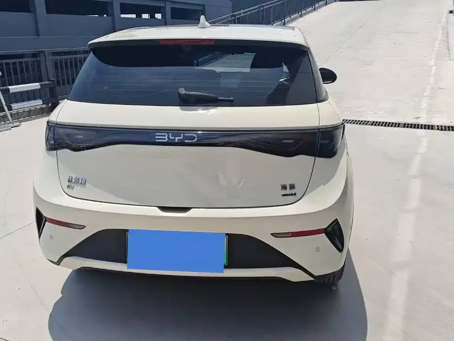 BYD Dolphin Dolphin 2025 Smart Driving Edition 410km Fashion Edition 2025 — миниатюра 2