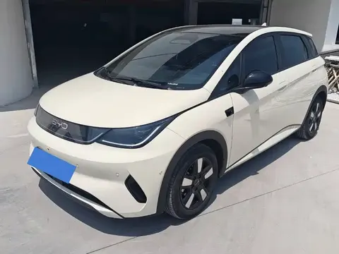 BYD Dolphin 2025 buy in Moscow