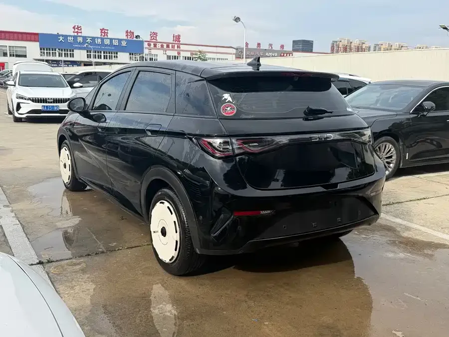BYD Dolphin Dolphin 2025 420KM Freedom Edition 2025 — миниатюра 3