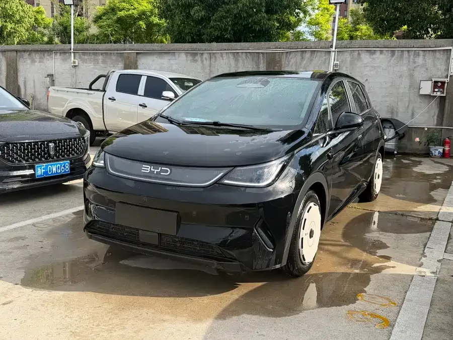 BYD Dolphin 2025