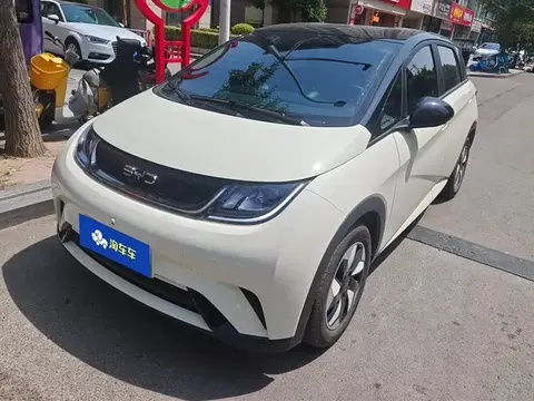 BYD Dolphin 2026 buy in Moscow