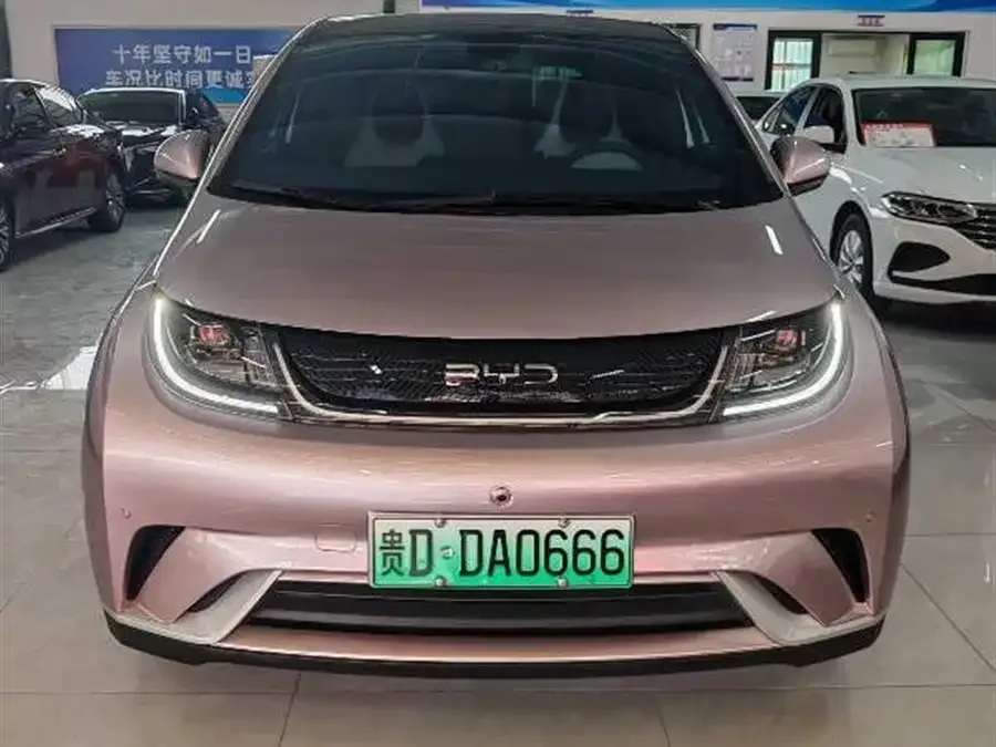 BYD Dolphin 2024