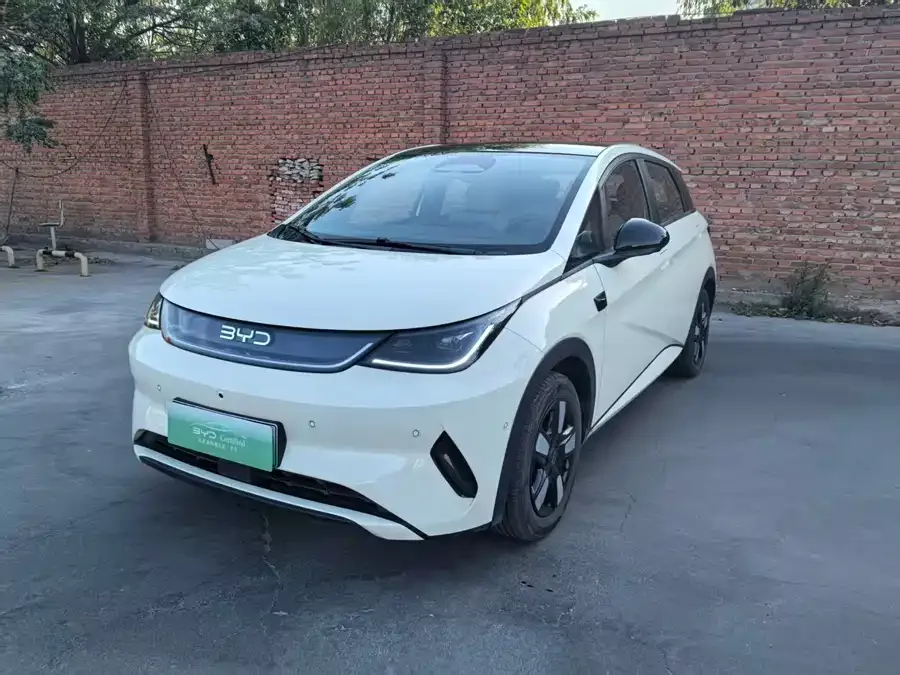 BYD Dolphin 2025