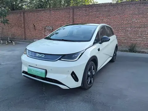 BYD Dolphin 2025 buy in Moscow
