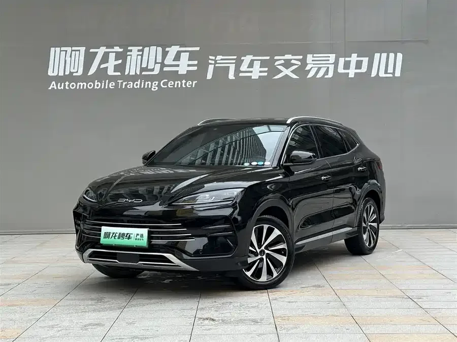 BYD Song PLUS New Energy 2024