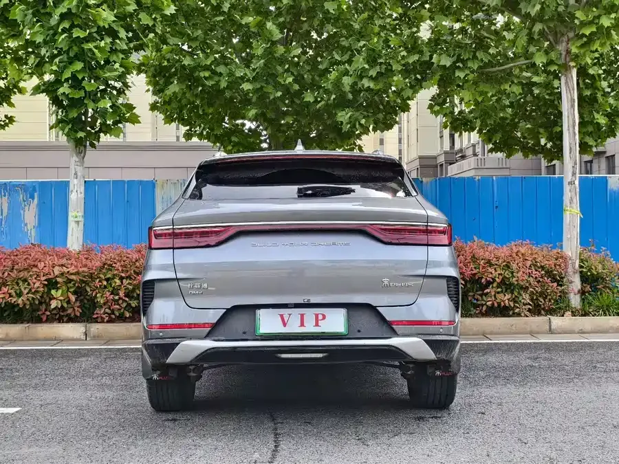 BYD Song PLUS New Energy Song PLUS New Energy 2021 DM-i 110KM Flagship PLUS 2024 — миниатюра 5