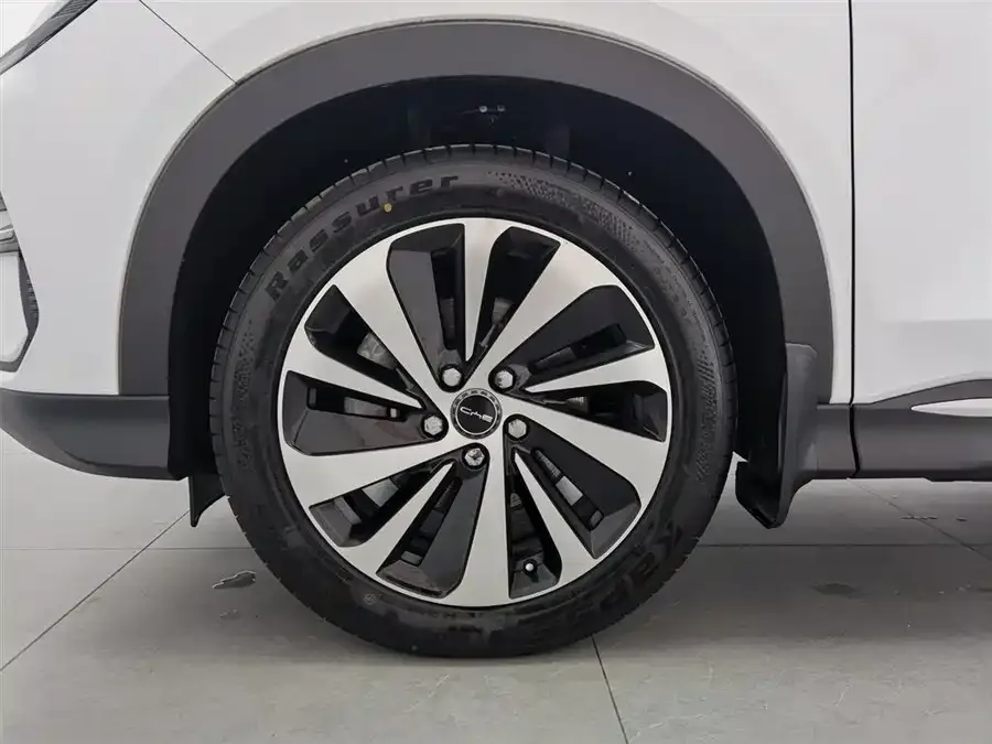 BYD Song PLUS New Energy Song PLUS New Energy 2023 Champion Edition DM-i 110KM Flagship 2023 — миниатюра 5